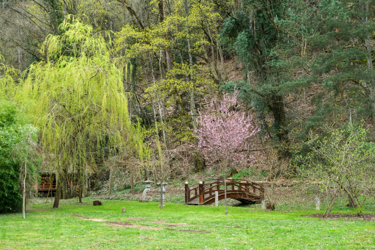 jardin japonais nature printemps harmonie cuisine japonaise saisonnalité