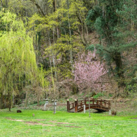 jardin japonais nature printemps harmonie cuisine japonaise saisonnalité