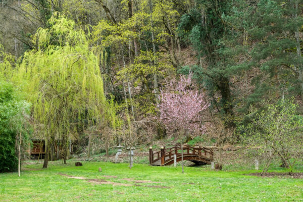 jardin japonais nature printemps harmonie cuisine japonaise saisonnalité